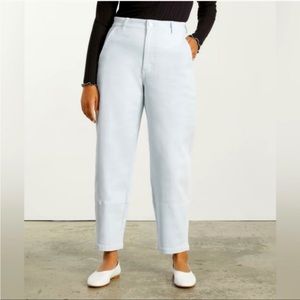 Everlane The Utility Barrel Pants in Sky Blue 16